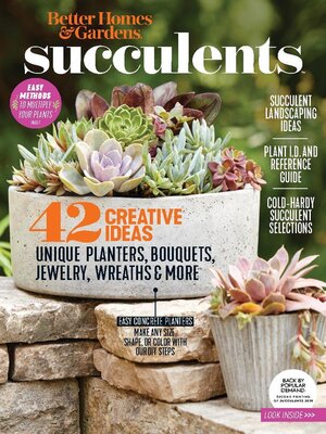 cover image of BHG Succulents